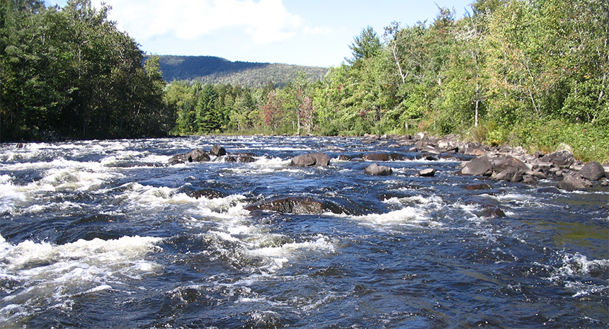  New England Rivers Fish Assemblage Study Completed!  