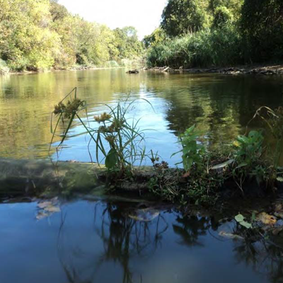 Assessment of the Fish Assemblages and Habitat Quality in the Lower Black River 2010-2012: Lacustuary Portion in Lorain, OH