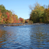 Maine Rivers Fish Assemblage Assessment: Index of Biotic Integrity for Non-wadeable Rivers. (Addendum December 31, 2015).