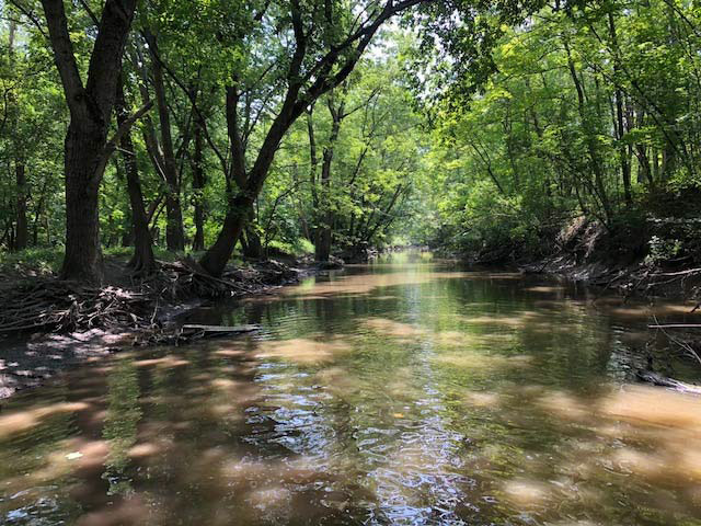 Biological and Water Quality Assessment of the North Branch Chicago River