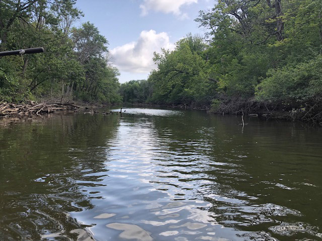Biological and Water Quality Assessment of Upper Des Plaines River: Year 2 Rotation 2018