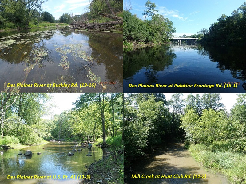 Biological and Water Quality Assessment of the Upper Des Plaines River 2022